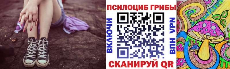 наркошоп  Велиж  Псилоцибиновые грибы Psilocybe 